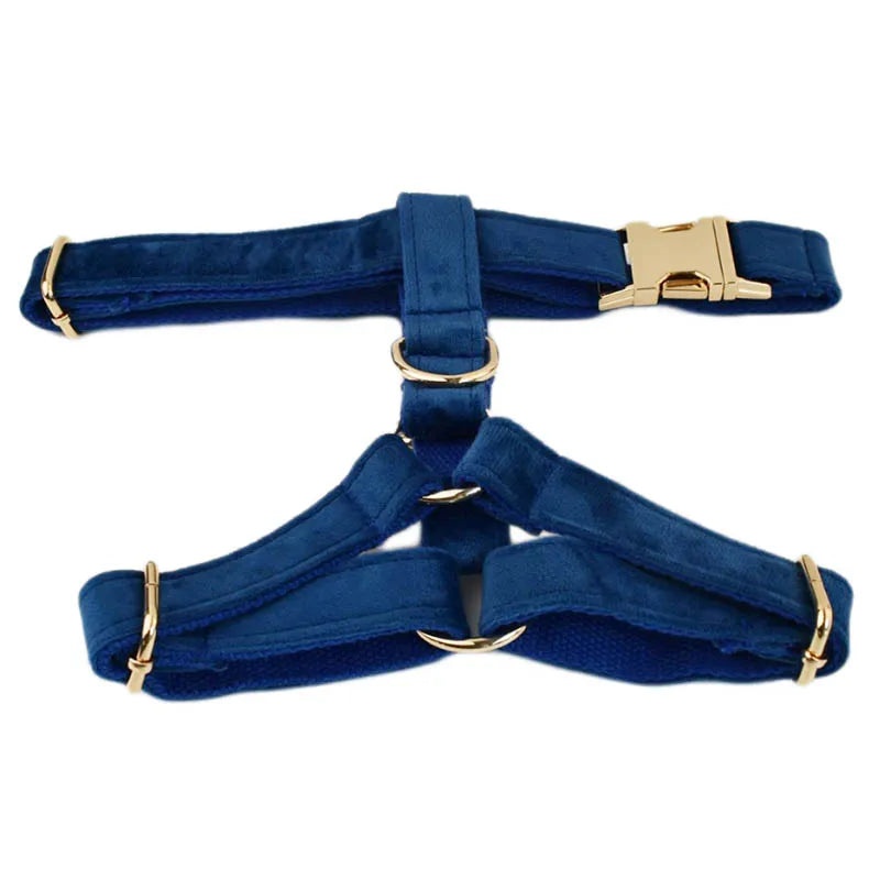 Azure Velvet Harness
