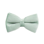 Mint Green Velvet Collar & Leash