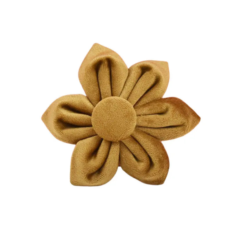 Cinnamon Velvet Collar & Leash