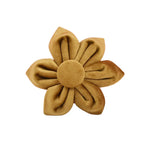 Cinnamon Velvet Collar & Leash