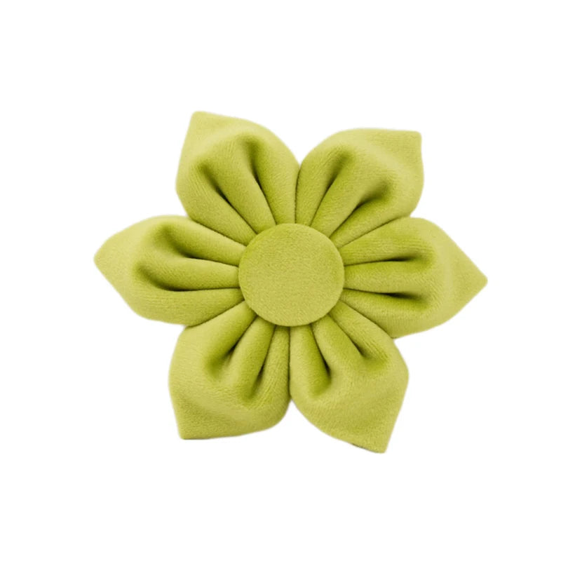 Avocado Velvet Collar & Leash