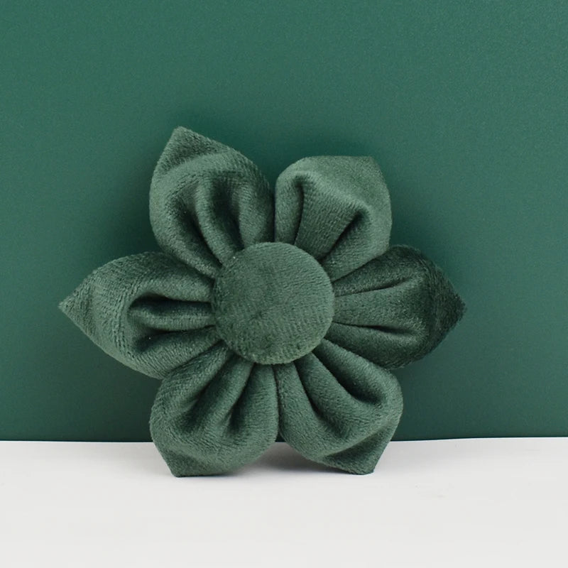 Hunter Green Velvet Collar & Leash