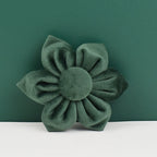 Hunter Green Velvet Collar & Leash