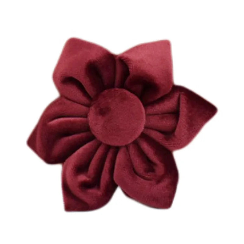 Red Wine Velvet Collar & Leash Set