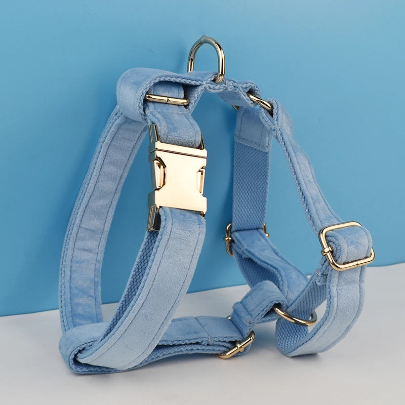 Teal Velvet Harness