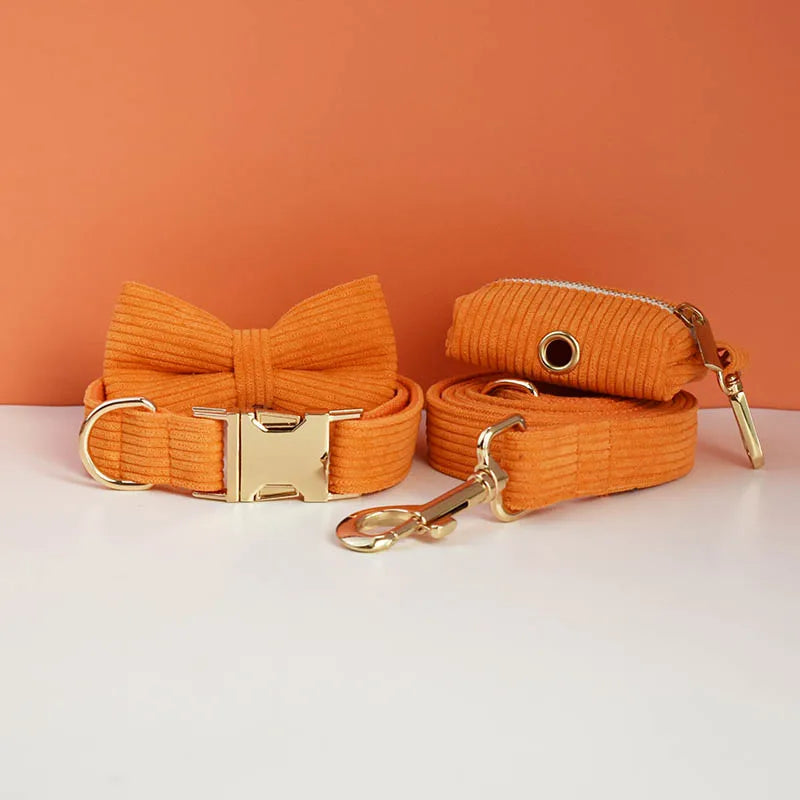 Orange Corduroy Walk Set