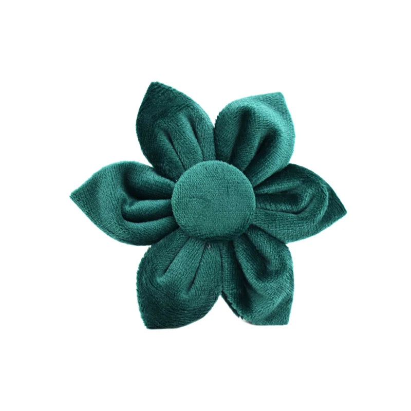 Green Velvet Collar & Leash