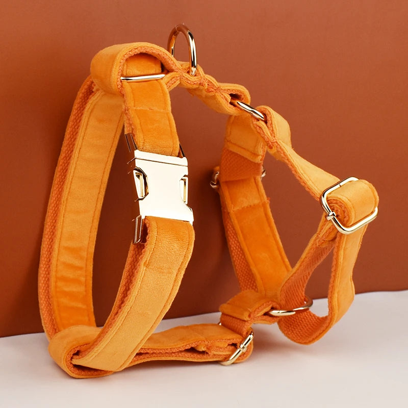 Orange Velvet Harness