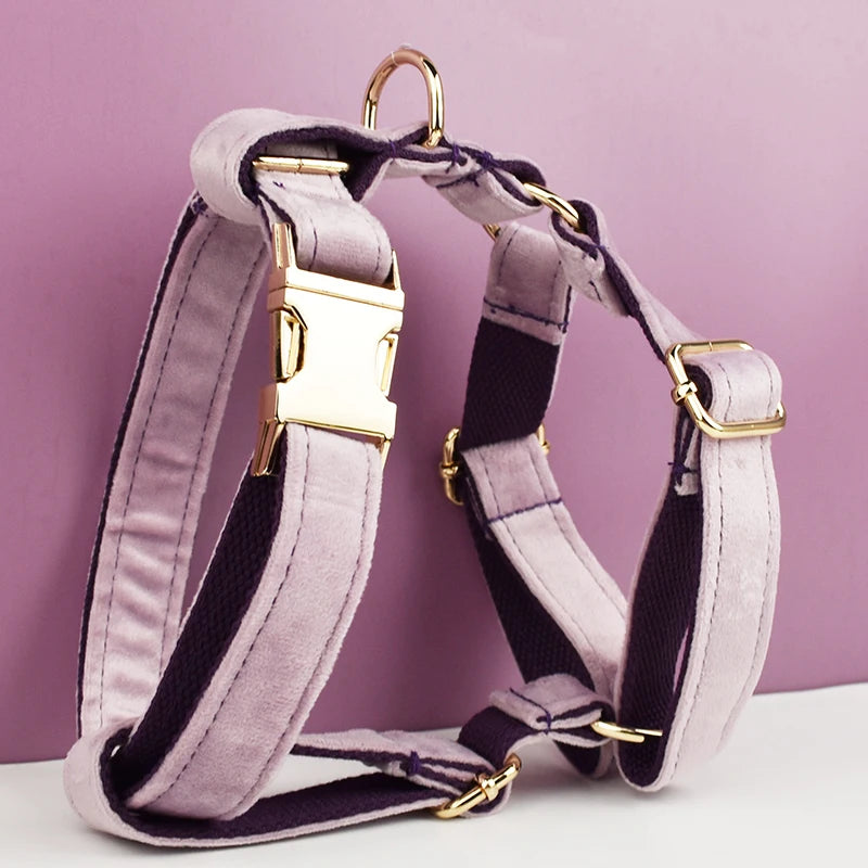 Deep Purple Velvet Harness