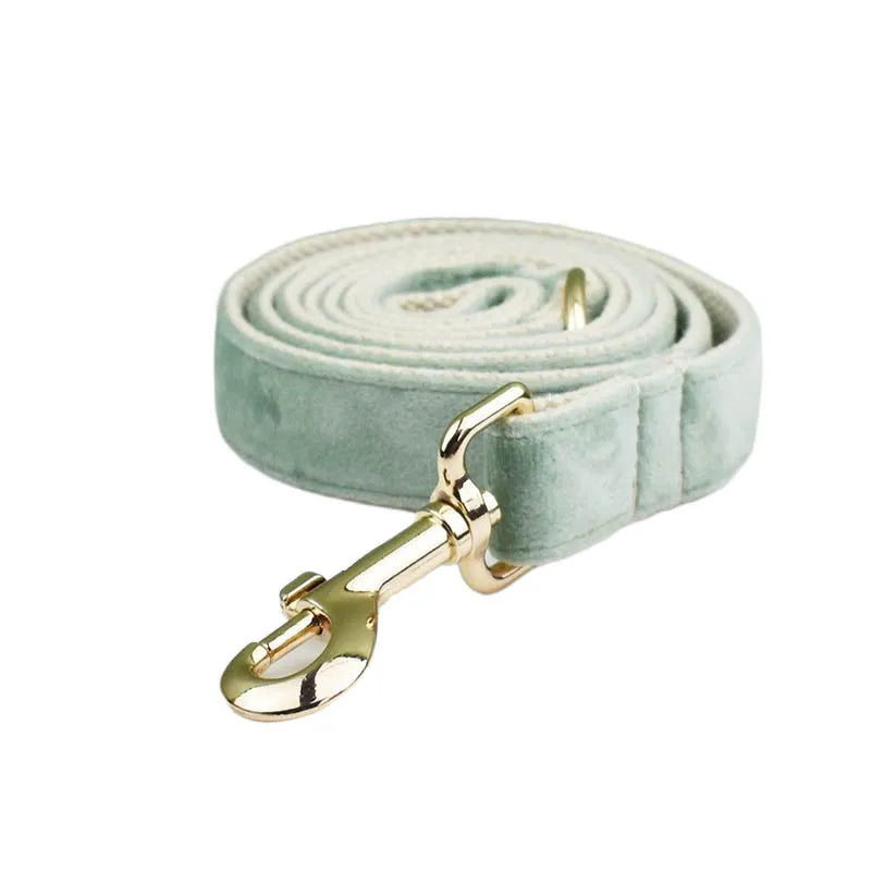 Mint Green Velvet Collar & Leash