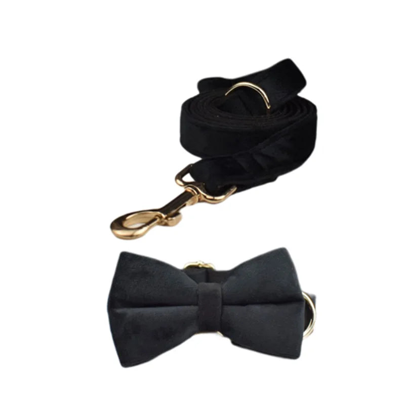 Black Velvet Collar & Leash