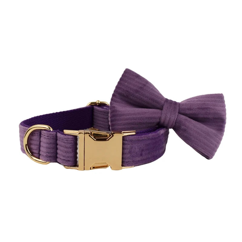 Epic Purple Corduroy Collar & Leash