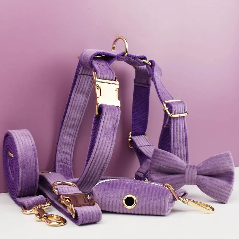 Epic Purple Corduroy Walk Set