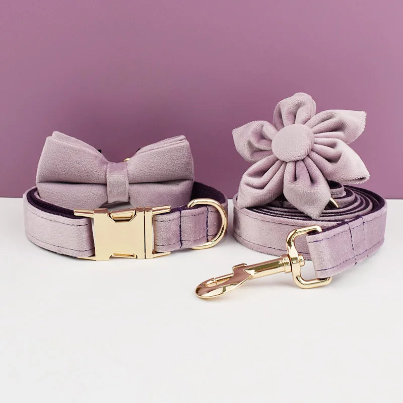 Deep Purple Velvet Collar & Leash