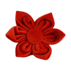 Ruby Red Velvet Collar & Leash