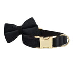 Black Velvet Collar & Leash