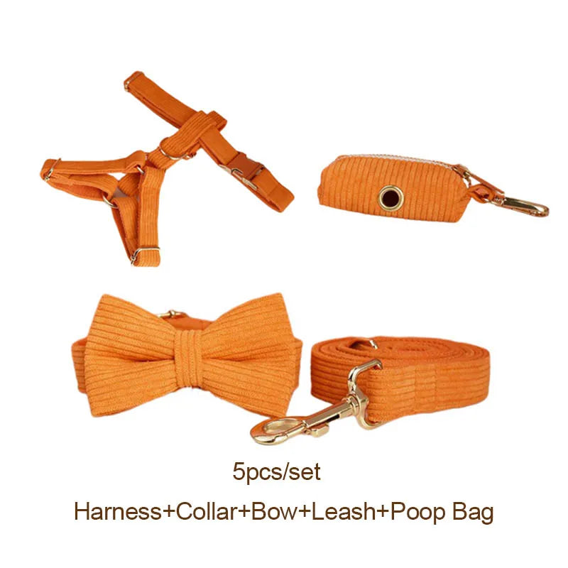 Orange Corduroy Walk Set