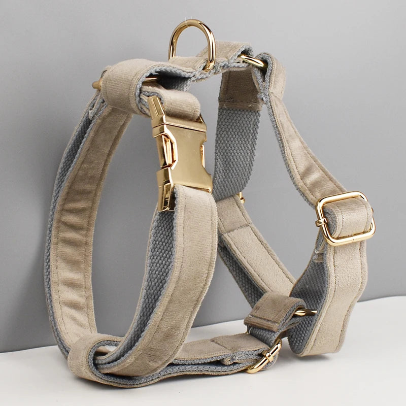 Grey Velvet Harness
