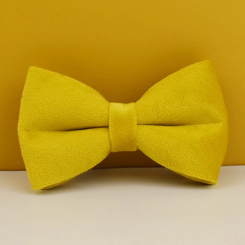 Mustard Velvet Collar & Leash