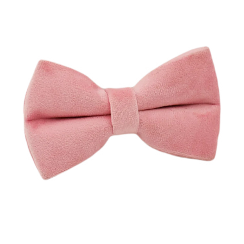 Blush Velvet Collar & Leash