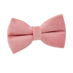 Blush Velvet Collar & Leash