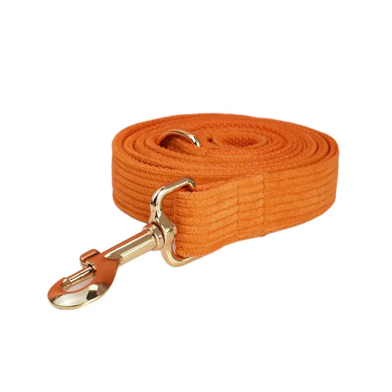 Orange Corduroy Collar & Leash