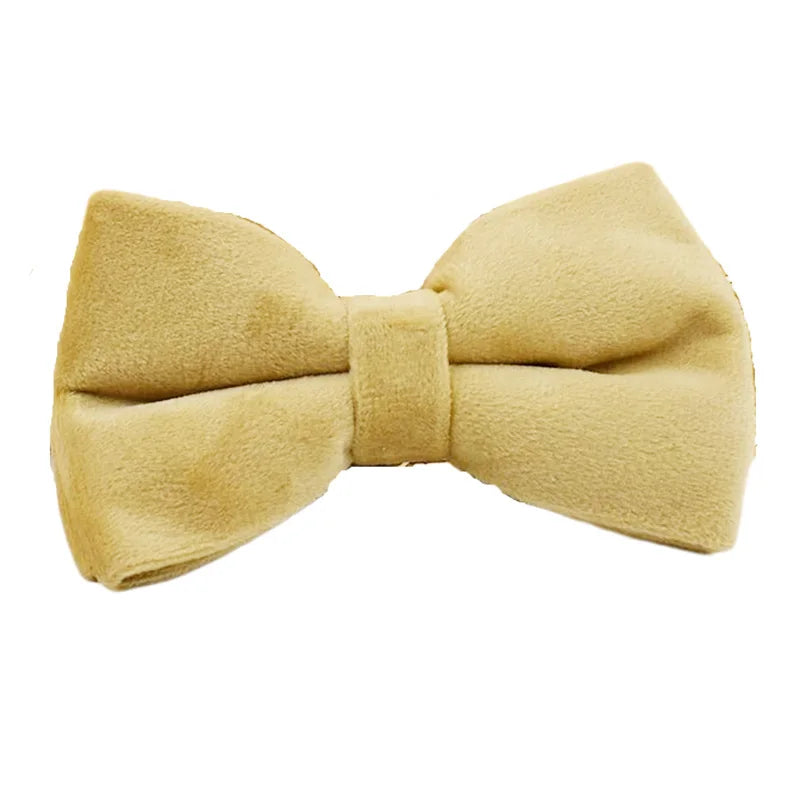 Nude Velvet Collar & Leash