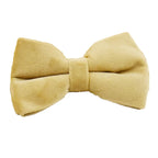 Nude Velvet Collar & Leash