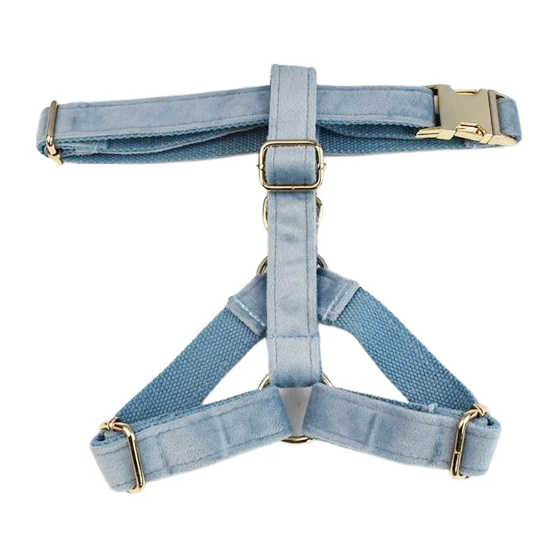 Nordic Blue Velvet Harness
