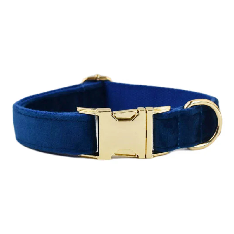 Azure Velvet Collar & Leash