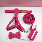 Hot Rose Corduroy Walk Set