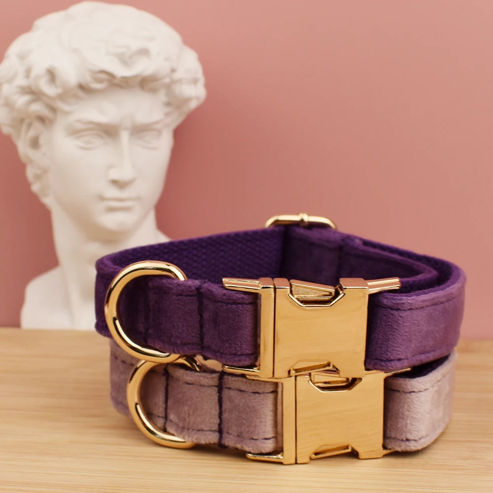 Lavender Velvet Collar