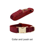 Red Wine Velvet Collar & Leash Set