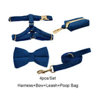 Azure Velvet Walk Set