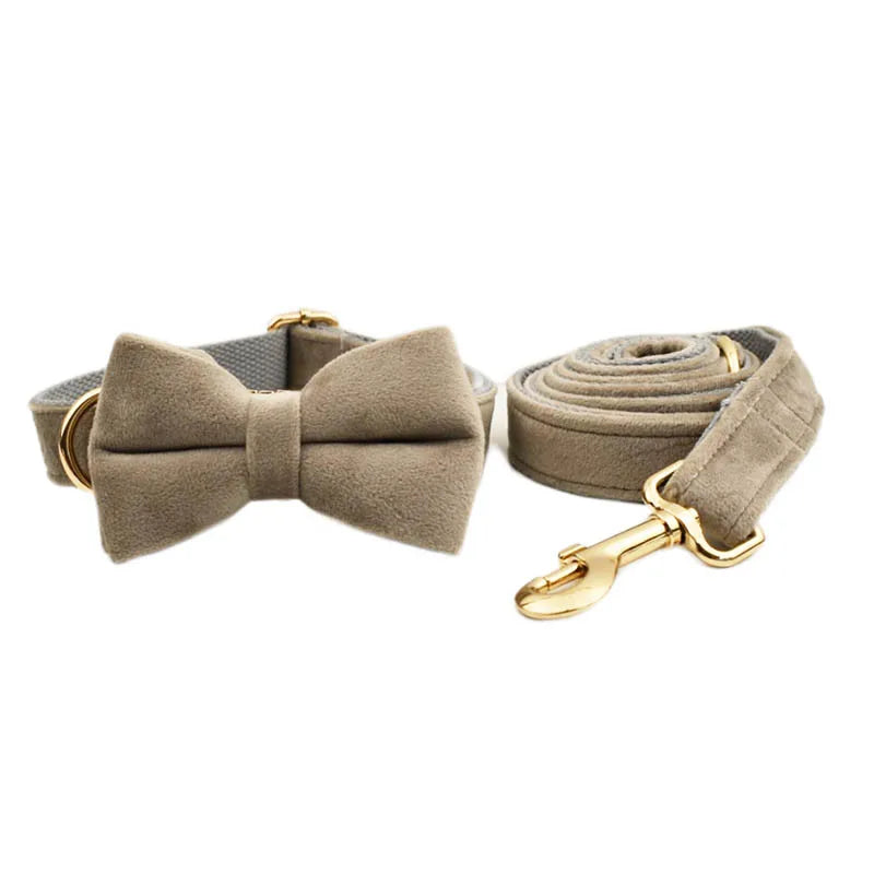 Grey Velvet Collar & Leash