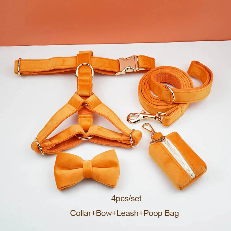 Orange Velvet Walk Set