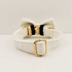 Snow White Velvet Collar & Leash
