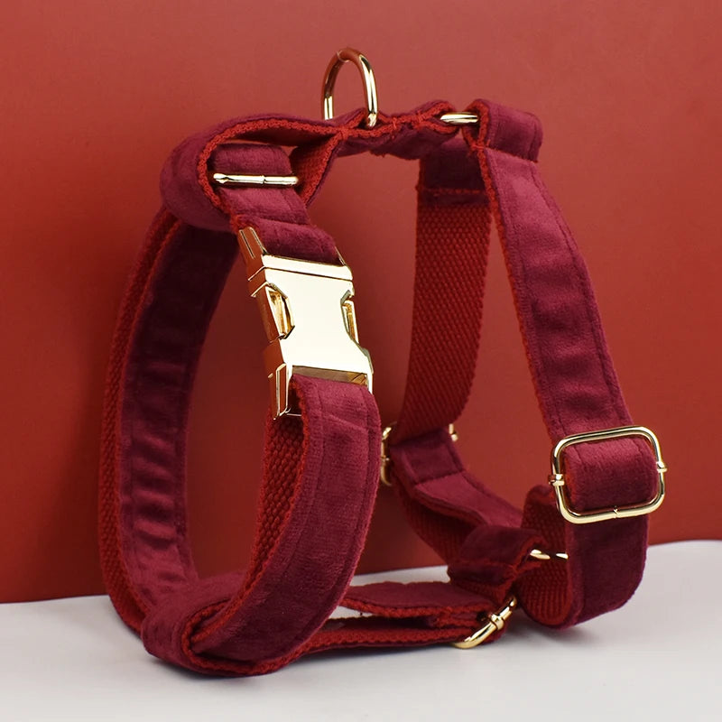Red Wine Velvet Harness