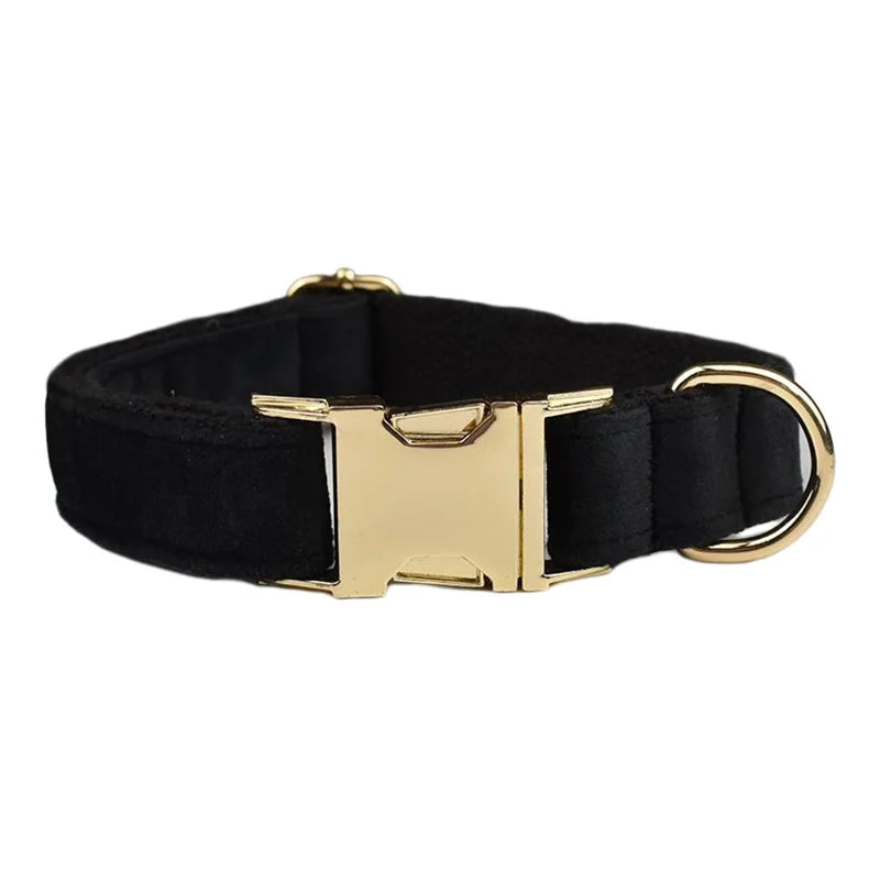 Black Velvet Collar & Leash