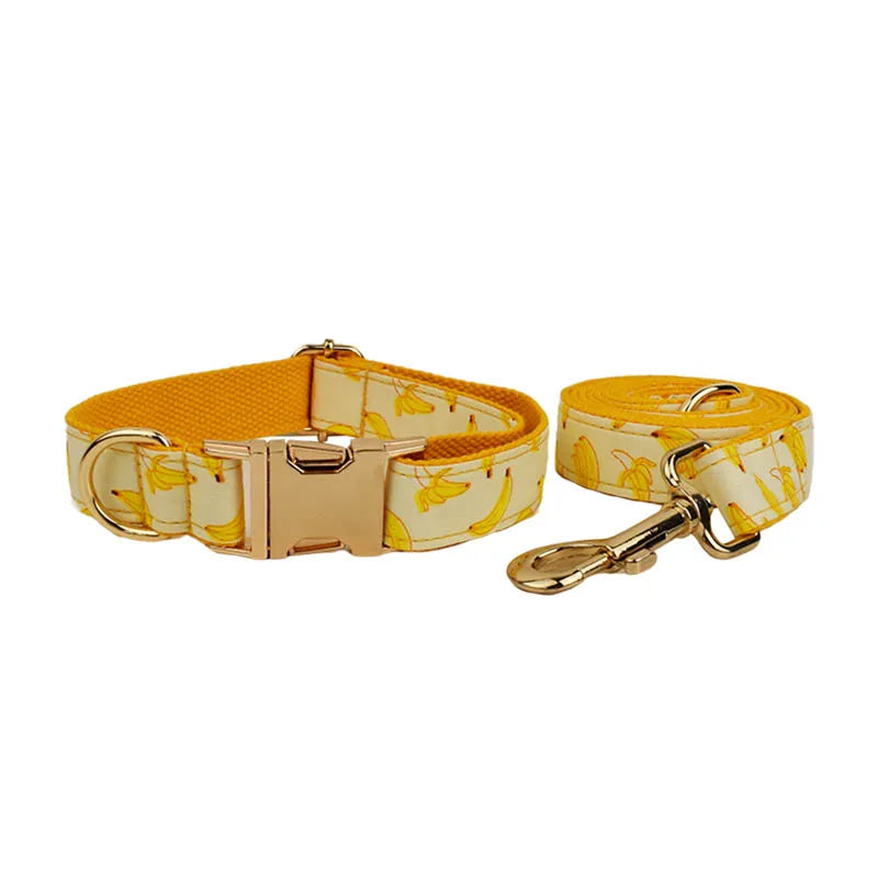 Banana Pop Collar & Leash
