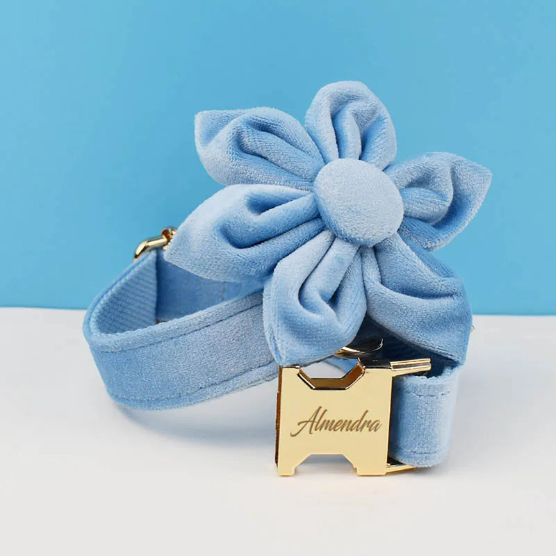 Teal Velvet Collar And Leash