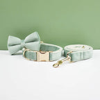 Mint Green Velvet Collar & Leash
