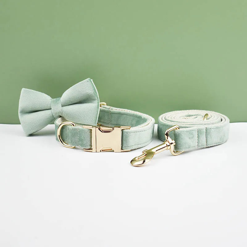 Mint Green Velvet Collar & Leash