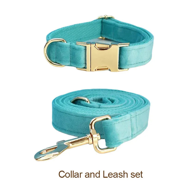Turquoise Stone Velvet Collar & Leash
