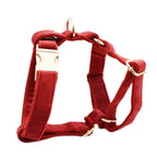 Ruby Red Velvet Walk Set