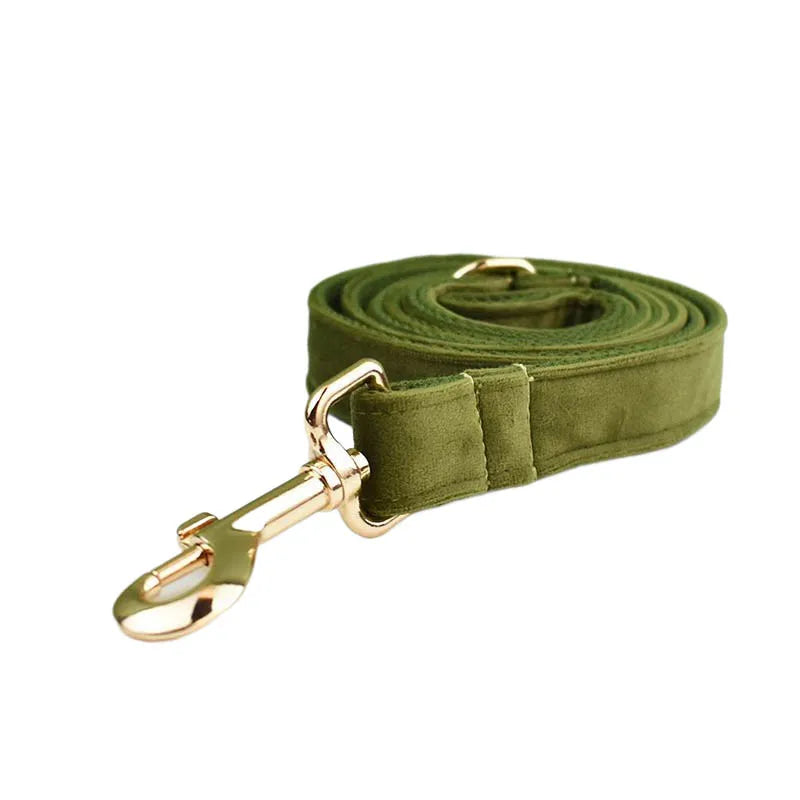 Army Green Velvet Collar & Leash