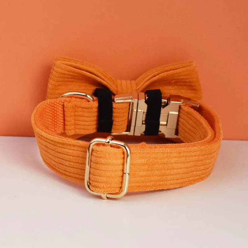 Orange Corduroy Collar & Leash