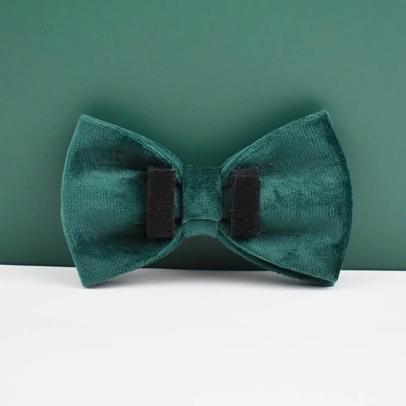 Green Velvet Collar & Leash