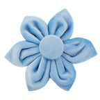 Teal Velvet Collar And Leash