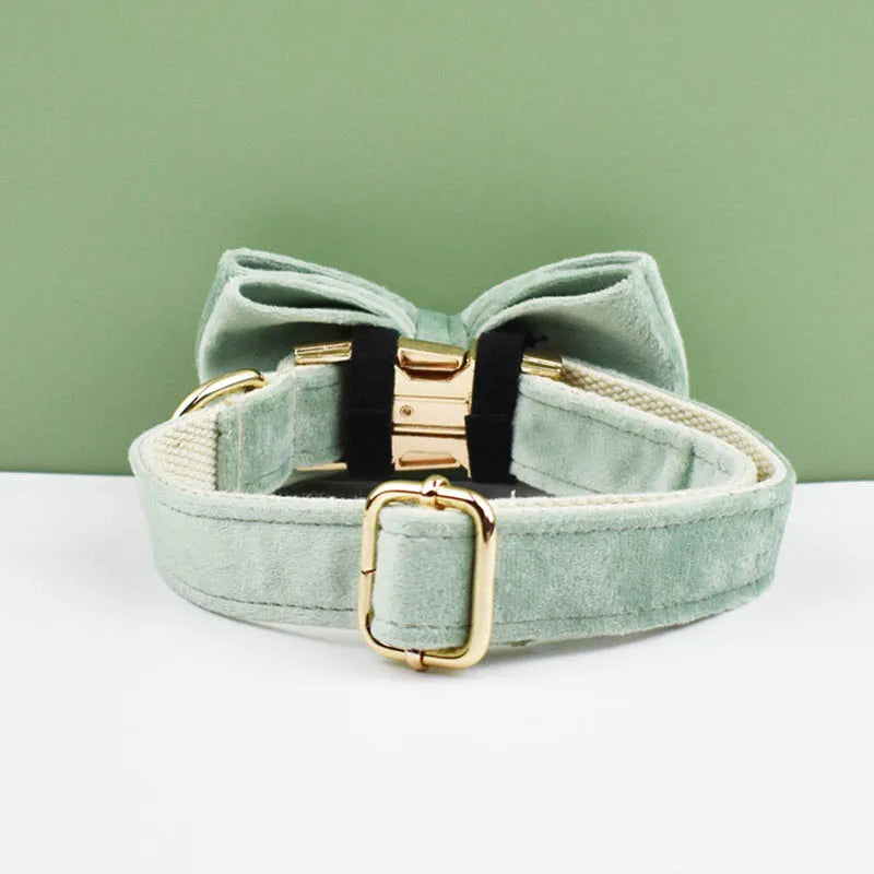 Mint Green Velvet Collar & Leash